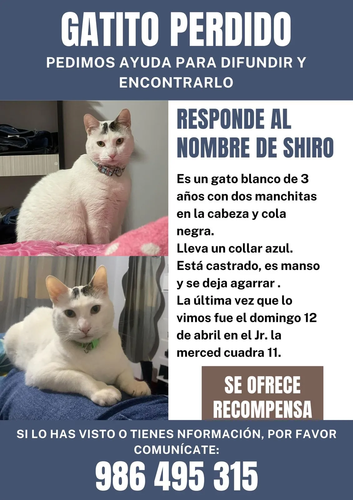 #AvisosEnEsfera  AYUDA A ENCONTRAR A ESTA MASCOTA.