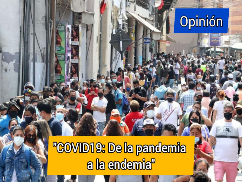 Covid-19: De la pandemia a la endemia.