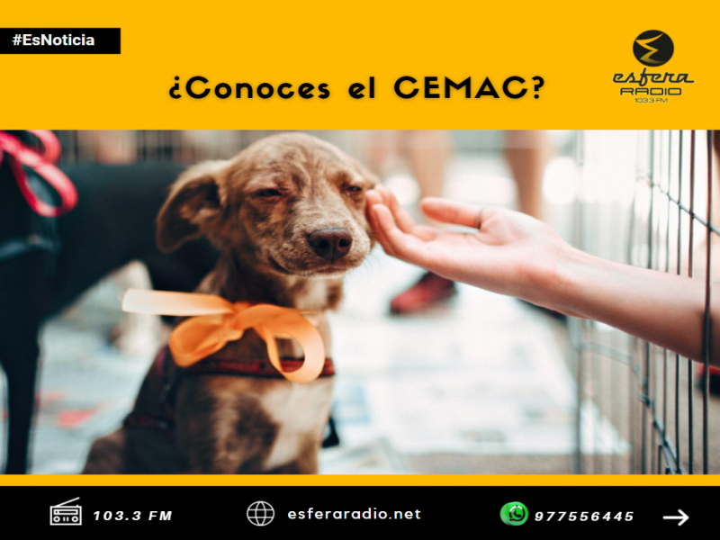 ¿Conoces qué es el CEMAC?