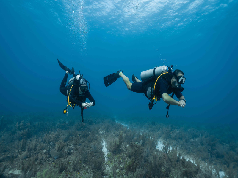 TURISMO DE AVENTURA: INACAL APRUEBA NORMA TÉCNICA PERUANA EN LA MODALIDAD DE BUCEO