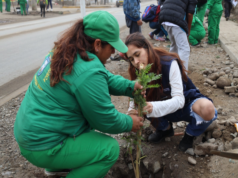 UCV sembró 3 mil árboles en Gran Cruzada Verde Nacional por el Día del Árbol