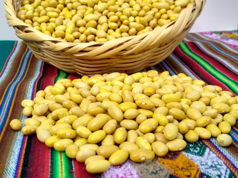 Perú tiene 115 productos prometedores en el rubro alimentos y bebidas