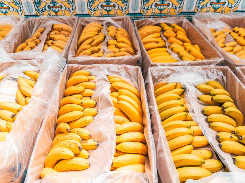 INACAL aprueba requisitos de calidad del plátano para mejorar su comercialización y consumo