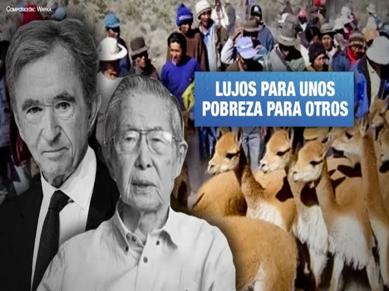 Norma de Alberto Fujimori permitió que el hombre más rico del mundo explote a una comunidad indígena que arrea y esquila vicuñas