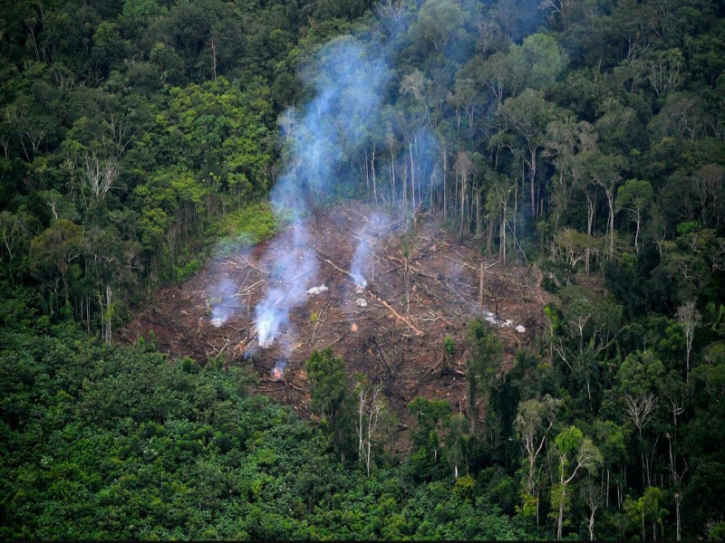 Naciones Unidas: el 40 % de las tierras del planeta están deterioradas