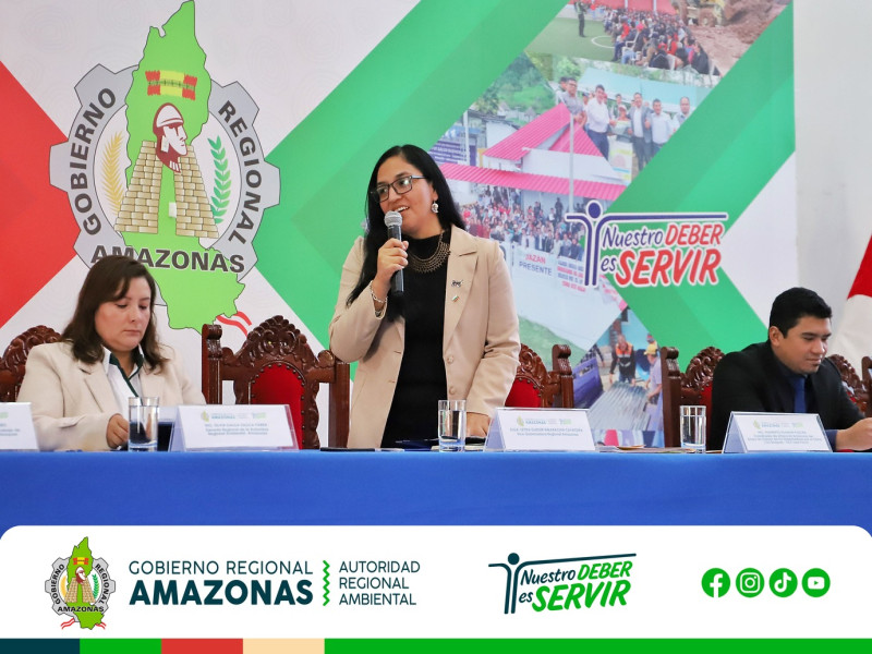 AUTORIDADES REGIONALES, LOCALES, ORGANISMOS DE COOPERACIÓN, ACADEMIA Y SOCIEDAD CIVIL FIRMAN DECLARACIÓN CONJUNTA PARA LA GESTIÓN SOSTENIBLE DE LOS BOSQUES DE AMAZONAS Y LUCHA CONTRA LA DEFORESTACIÓN.