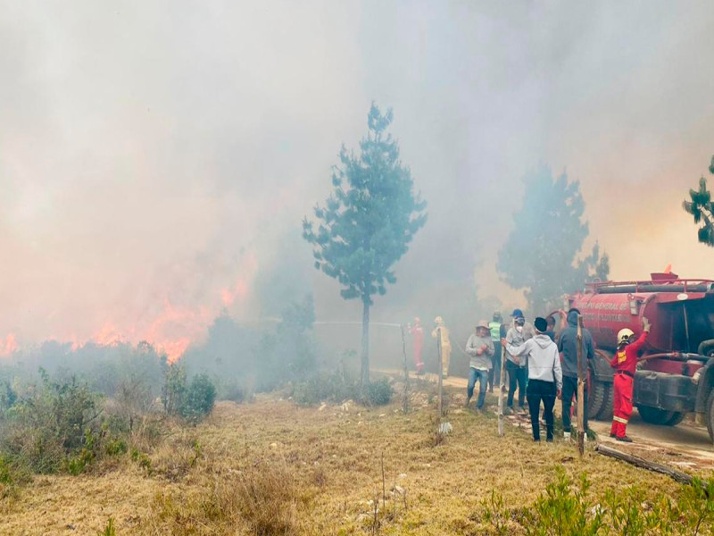 Incendios forestales en Perú: urgencia de concientizar y prevenir para salvar el futuro ambiental