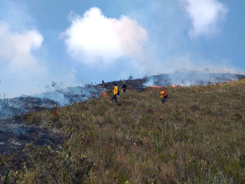 Incendios forestales en Perú: urgencia de concientizar y prevenir para salvar el futuro ambiental