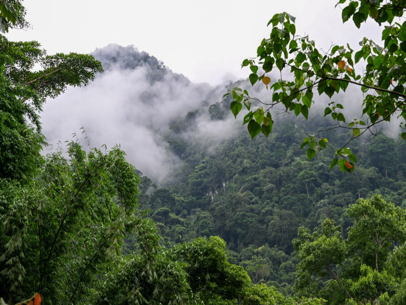 Cuatro áreas naturales del Perú destacan entre las “top 100 green destinations stories 2025”