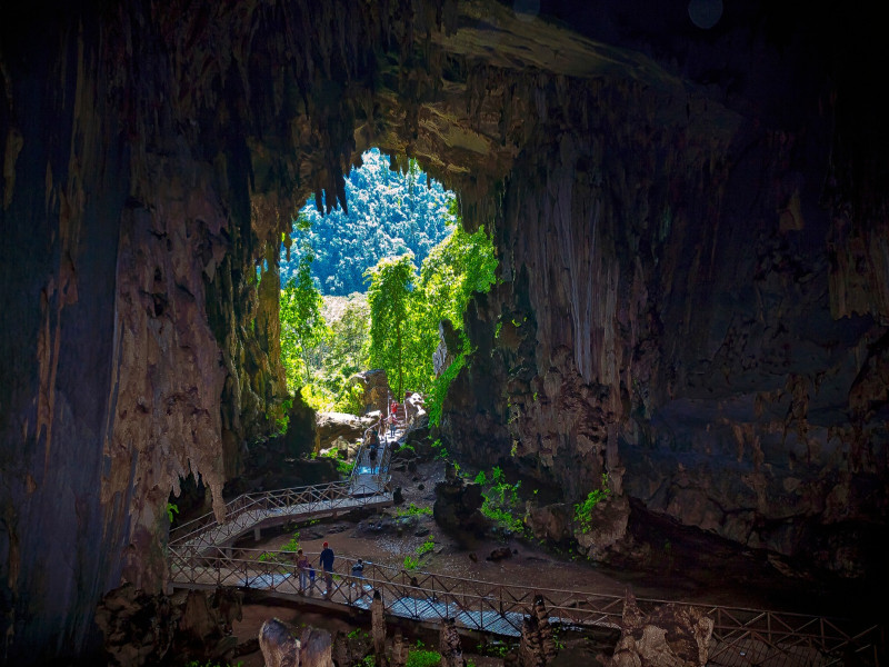 Cuatro áreas naturales del Perú destacan entre las “top 100 green destinations stories 2025”