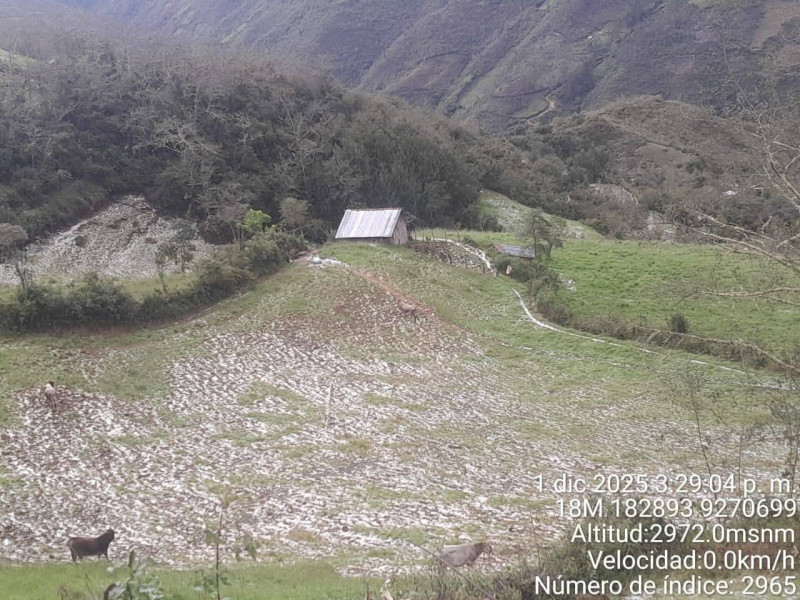 Fuerte granizada afecta parcelas agrícolas en Santo Tomás.
