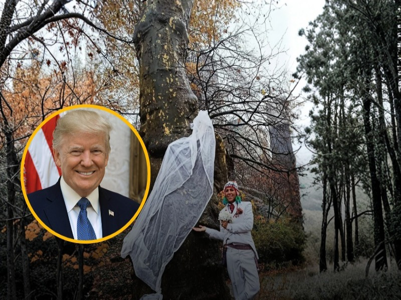 Richard Torres lanza mensaje global desde Nueva York y pide a Trump unirse a la defensa de la Amazonía