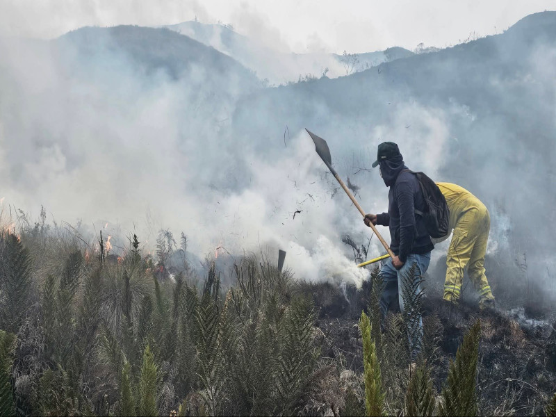 Incendio forestal en Cuemal dejó ocho hectáreas afectadas.