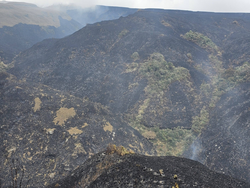 820 hectáreas afectadas por incendio forestal en San Jerónimo