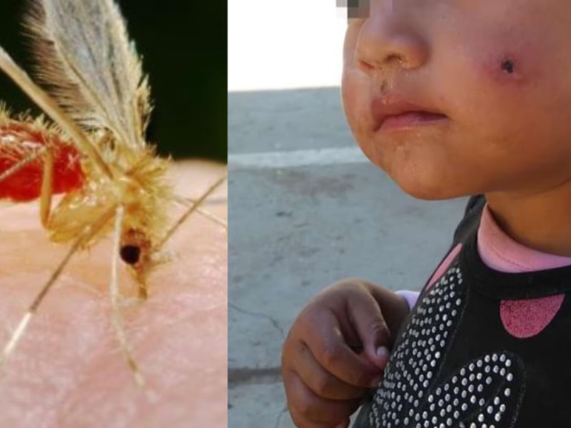 La puta Uta en el Alto Utcubamba