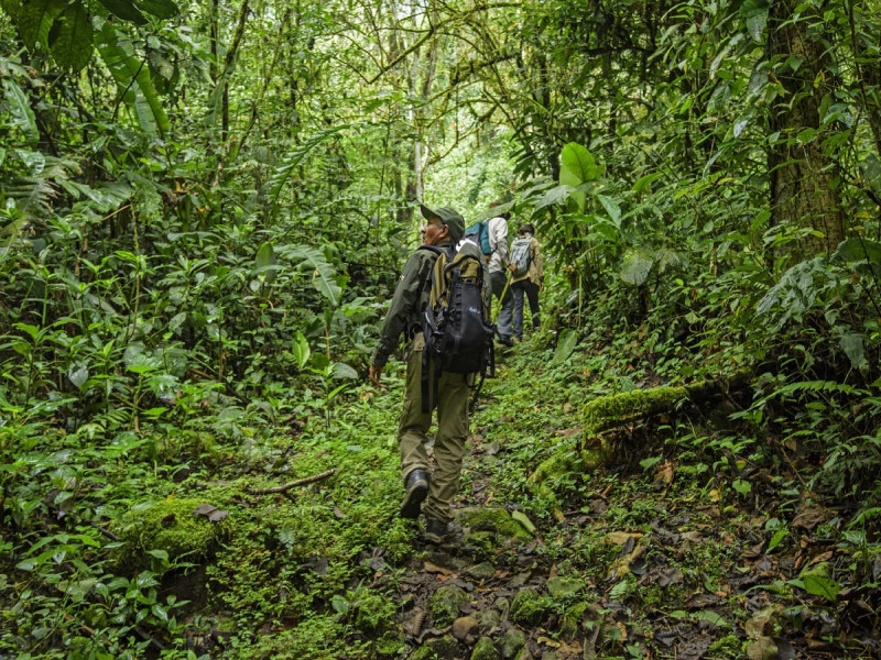 GOREA y SERFOR coordinan creación de plazas para fortalecer protección de bosques.